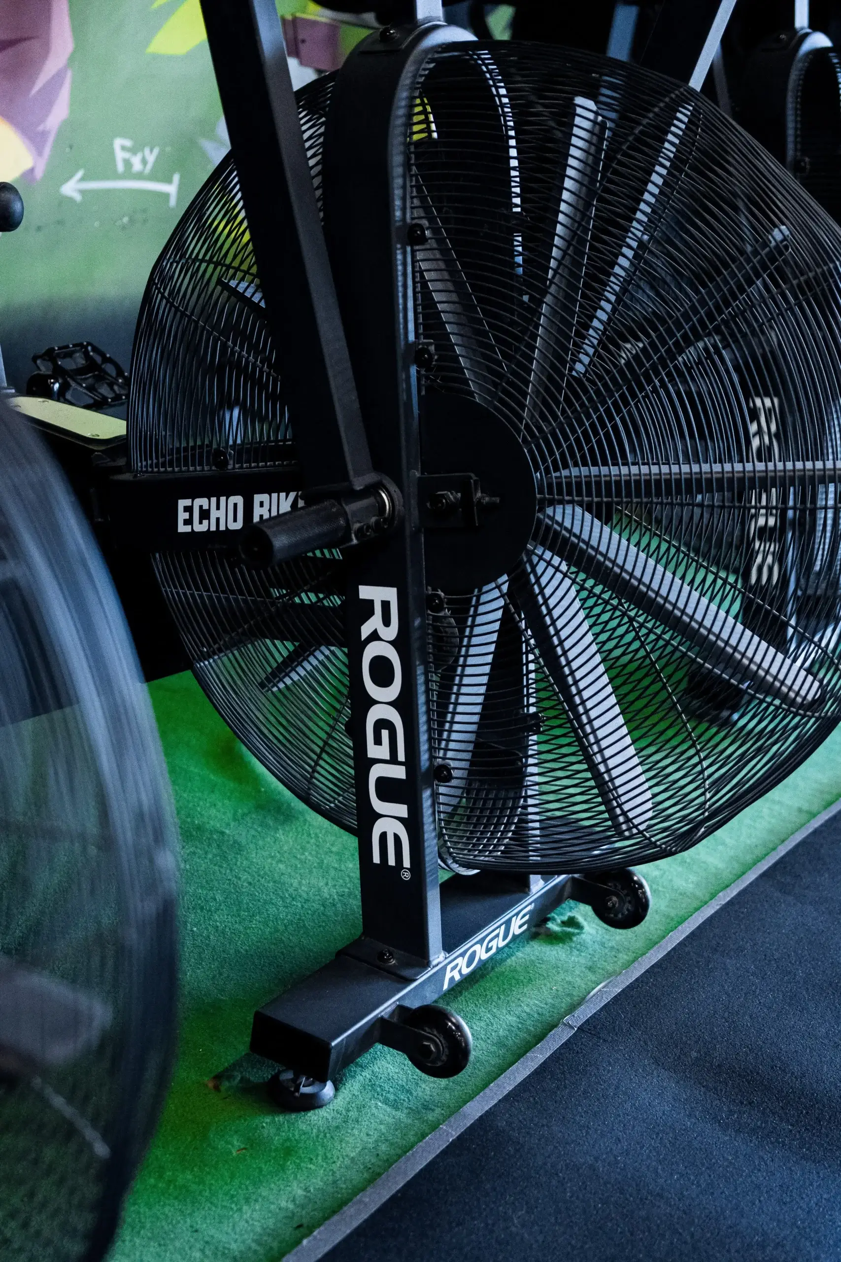 echo bike hiringa